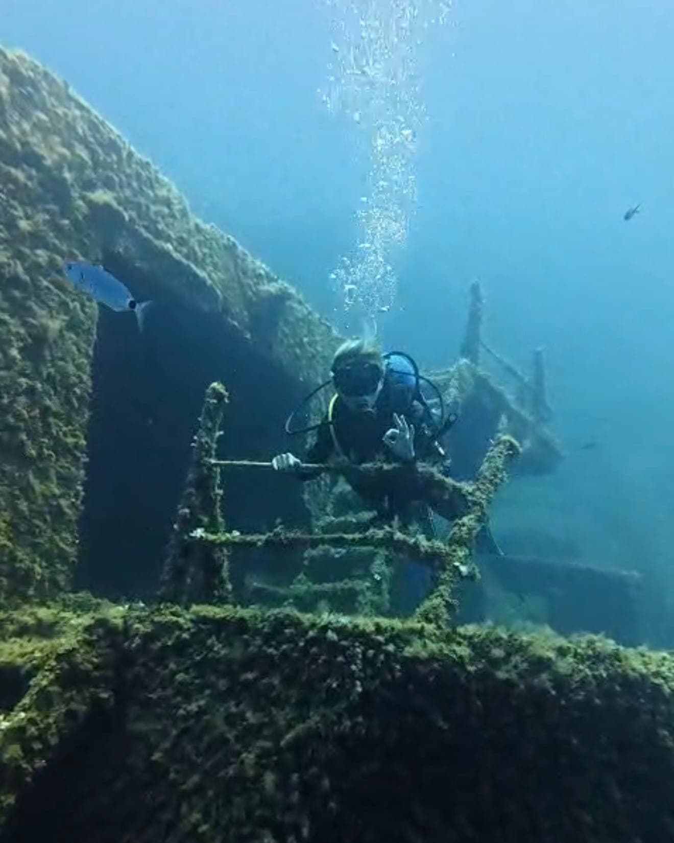 Diver signalling OK above a wreck on a guided descent